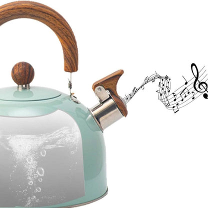 BOILVIA – 3-Liter-Wasserkocher aus Edelstahl mit komfortablem Griff 4